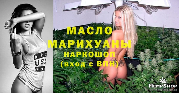 молекула духа Елабуга