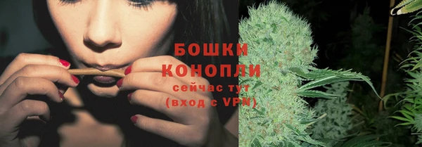 амф Елизово