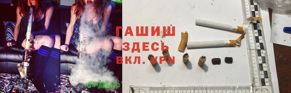 скорость Ельня