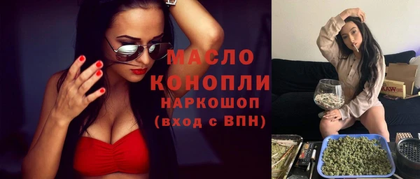 скорость Ельня