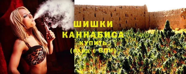 молекула духа Елабуга