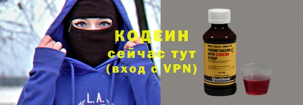 скорость Ельня