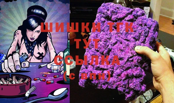 амф Елизово