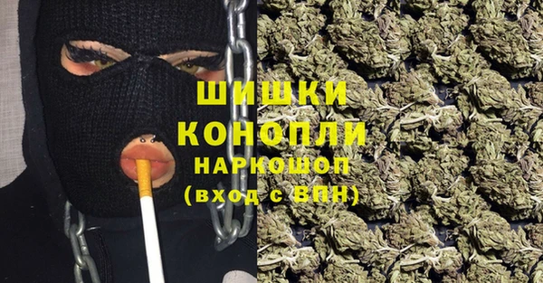 молекула духа Елабуга