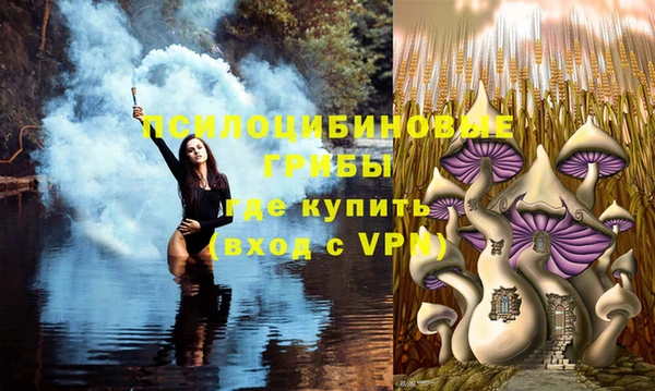скорость Ельня