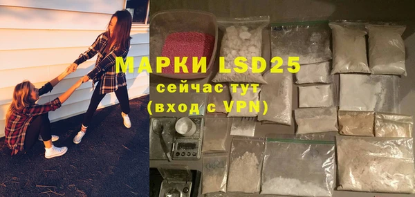 скорость Ельня