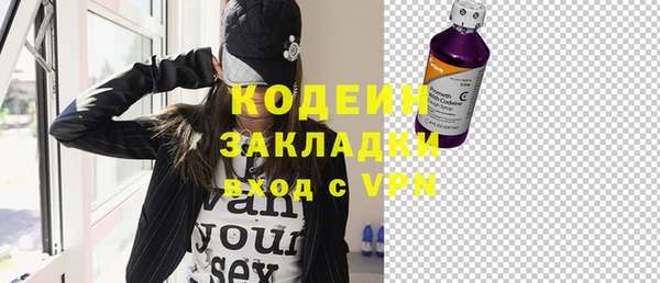 молекула духа Елабуга