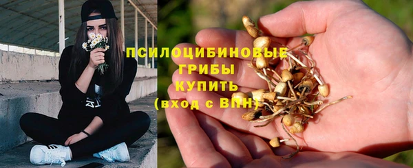 молекула духа Елабуга
