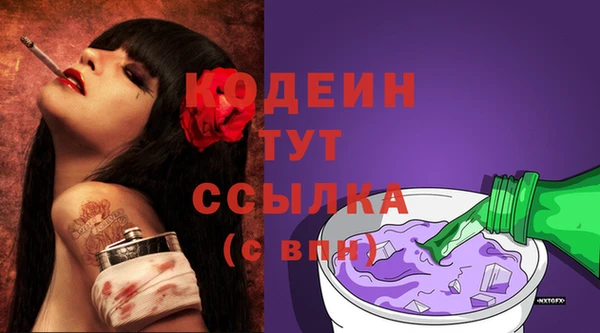 амф Елизово