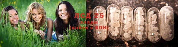 молекула духа Елабуга