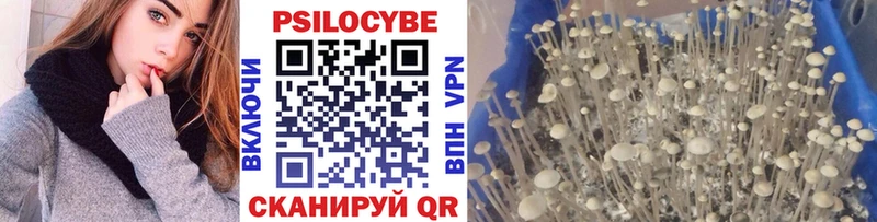 Псилоцибиновые грибы Magic Shrooms  Купить где  Солнечногорск 